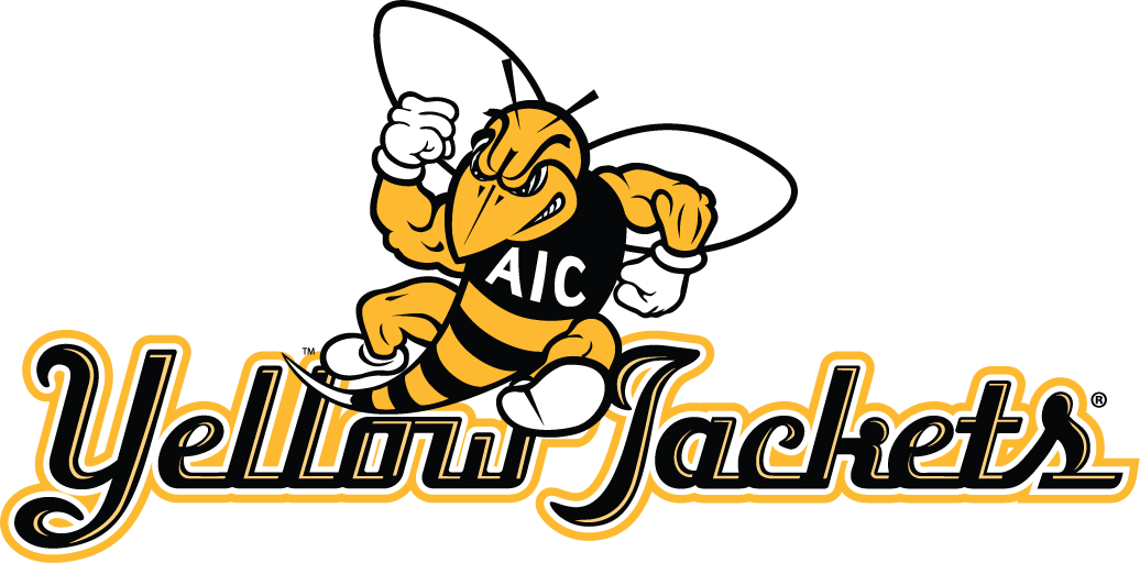 aic yellow jackets 2009-pres alternate logo v5 iron on transfers for T-shirts